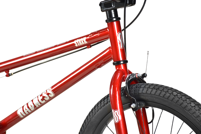 Madness BMX 1 (2024)